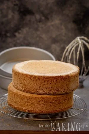 3-Ingredient-Sponge-Cake-Biskvit-1-300x450